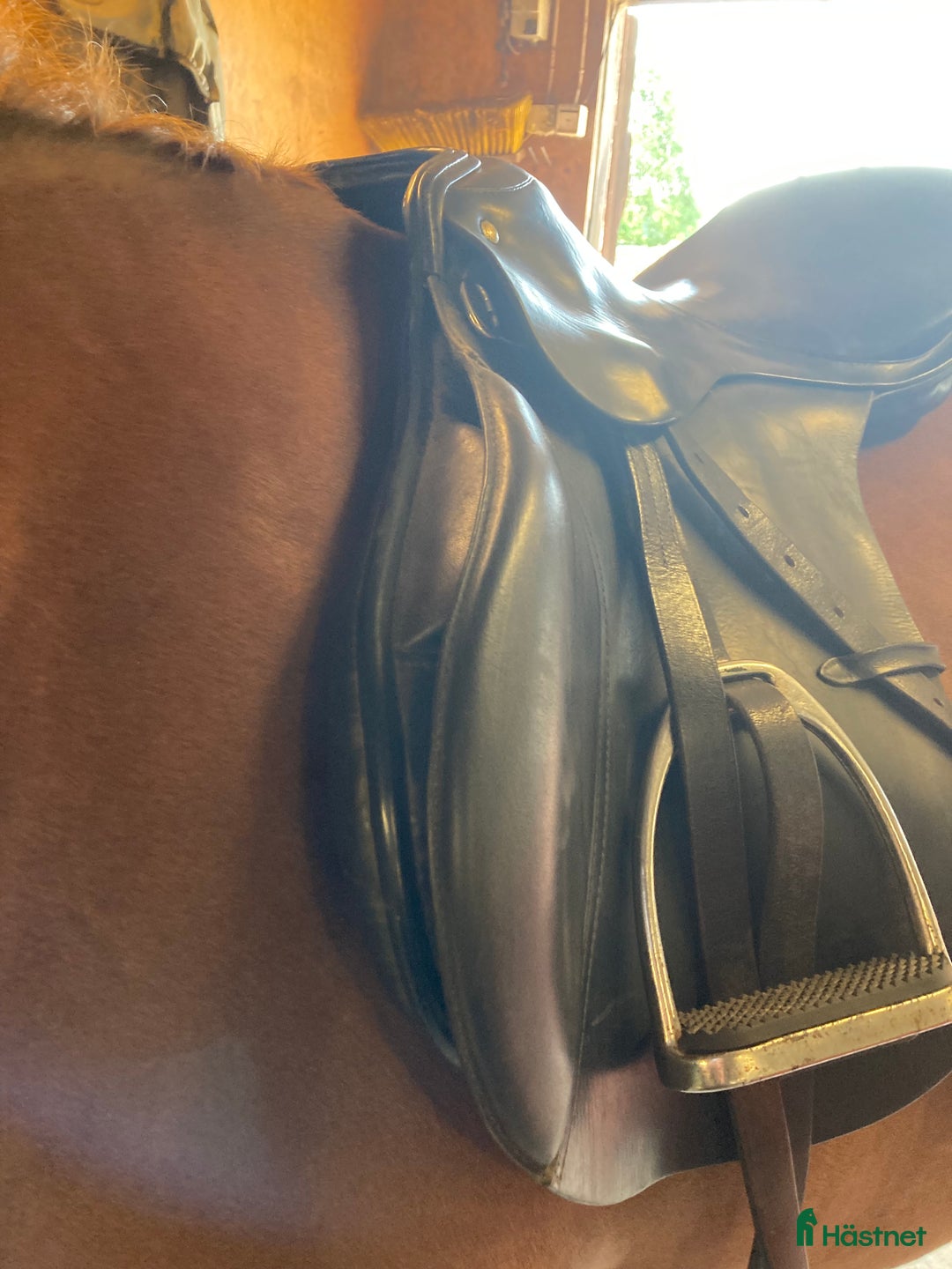 Sadlar hästutrustning till salu: Passier 17” allround i Trollhättan - Annons 2