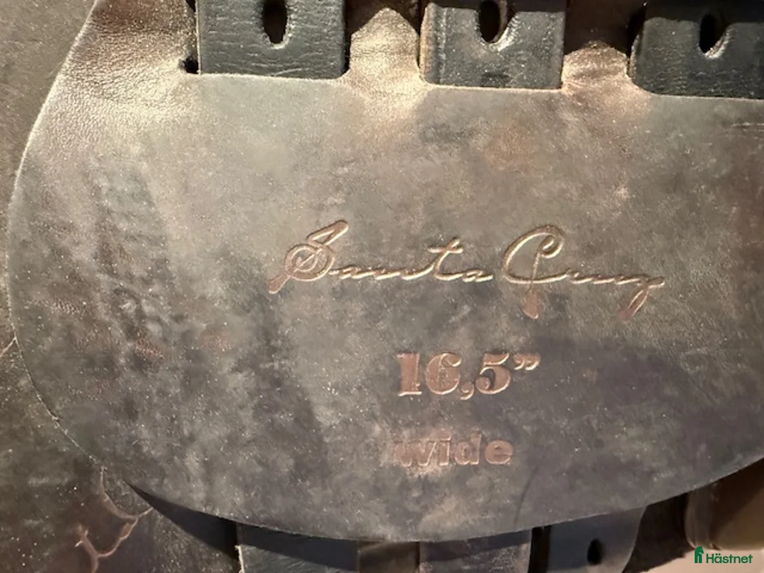 Sadlar hästutrustning till salu: Fin begagnad sadel  - Annons 2