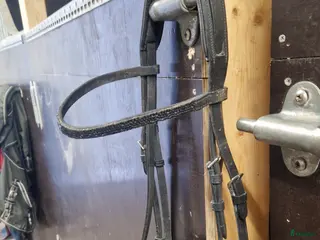 Träns hästutrustning Dressyrträns - Annons 5