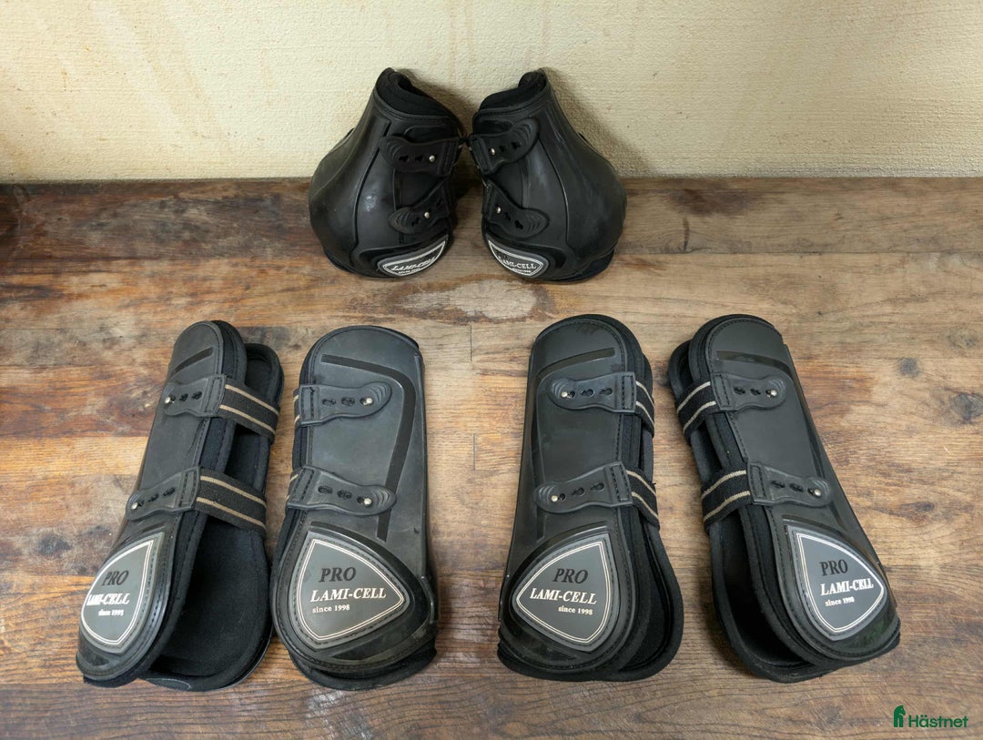 Benskydd hästutrustning till salu: Diverse benskydd i Staffanstorp - Annons 4