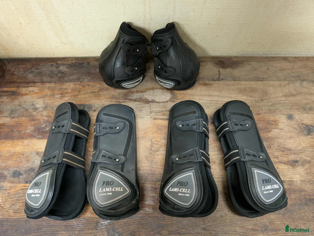 Benskydd hästutrustning till salu: Diverse benskydd i Staffanstorp - Annons 4