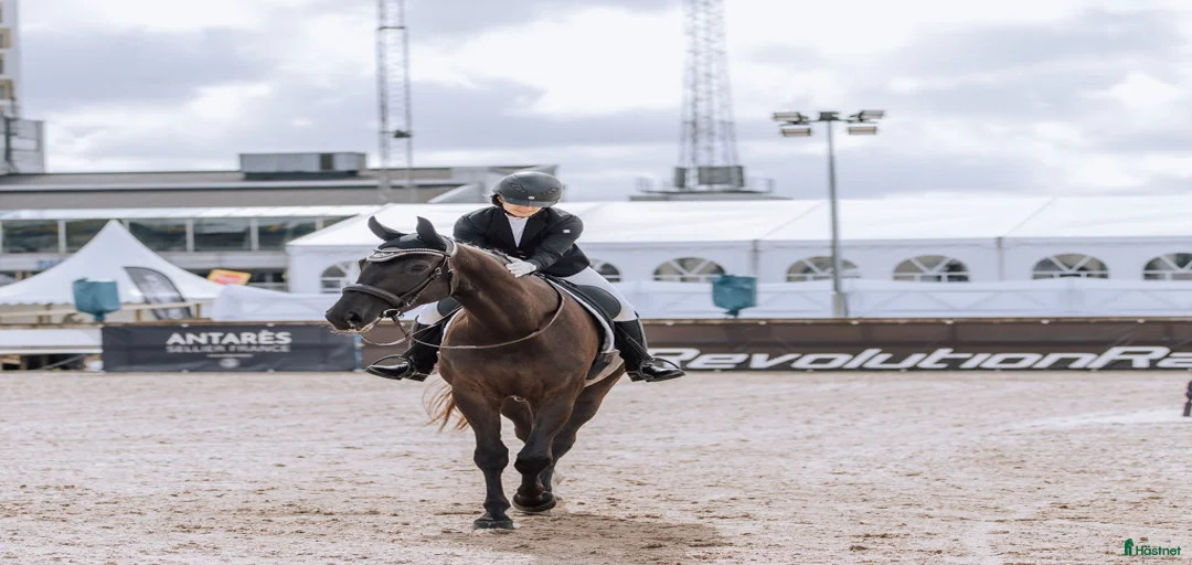 Galleribild {{count}}