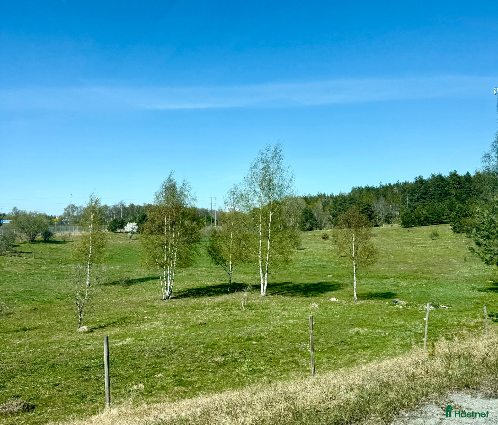  stallplats Sommarbete i Rosersberg - Annons 6