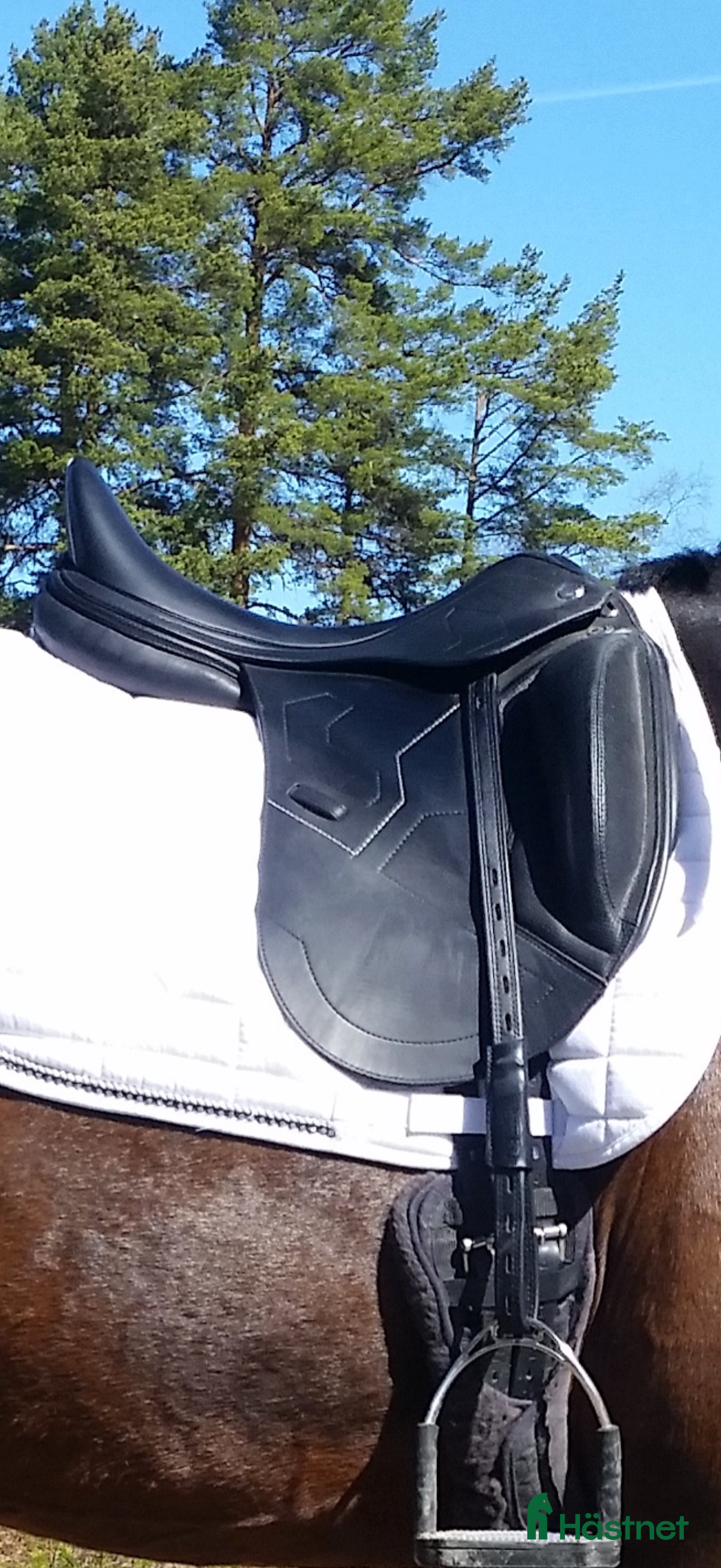 Sadlar hästutrustning till salu: Prestige x-breath i Köpmanholmen - Annons 11