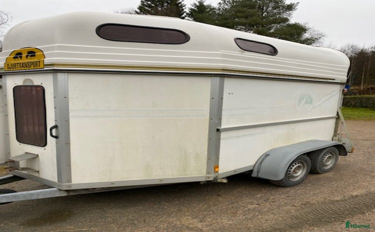 Hästtransporter  fordon & transport till salu i Kinnarumma - Annons 11