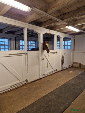 stallplats i Huskvarna - Annons 11