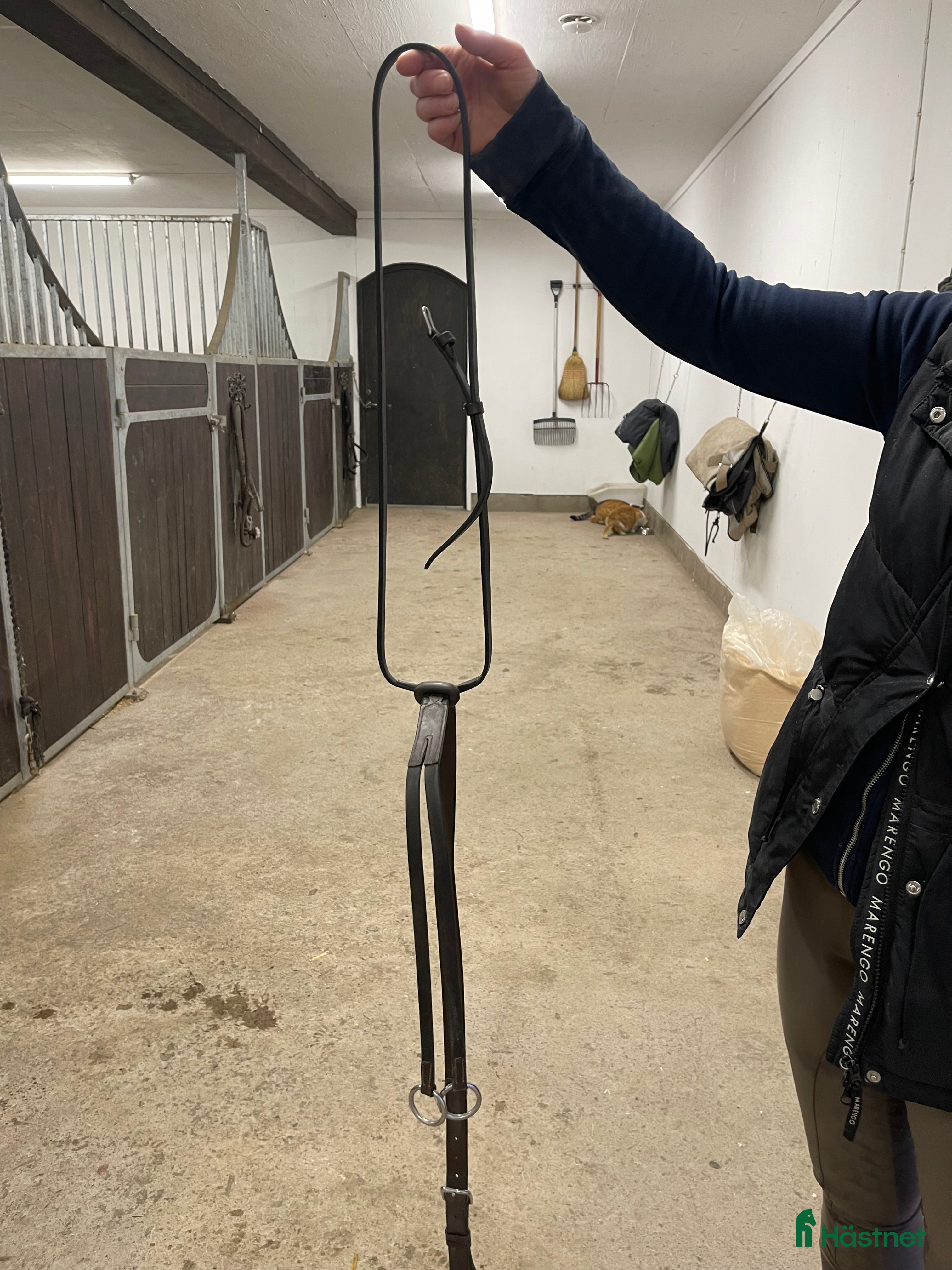 Övrig Hästutrustning hästutrustning till salu: Fin martingal i Vårgårda - Annons 18