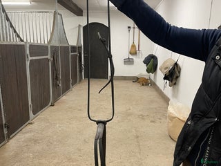 Övrig Hästutrustning hästutrustning till salu: Fin martingal i Vårgårda - Annons 2