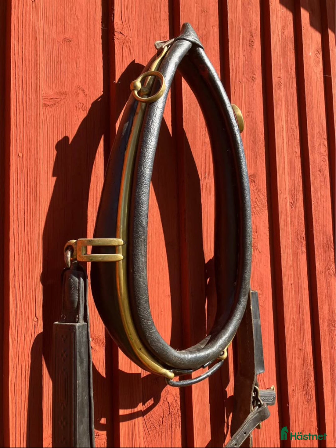 Övrig Hästutrustning hästutrustning till salu: Ovanlig sele och träns i Forserum - Annons 3