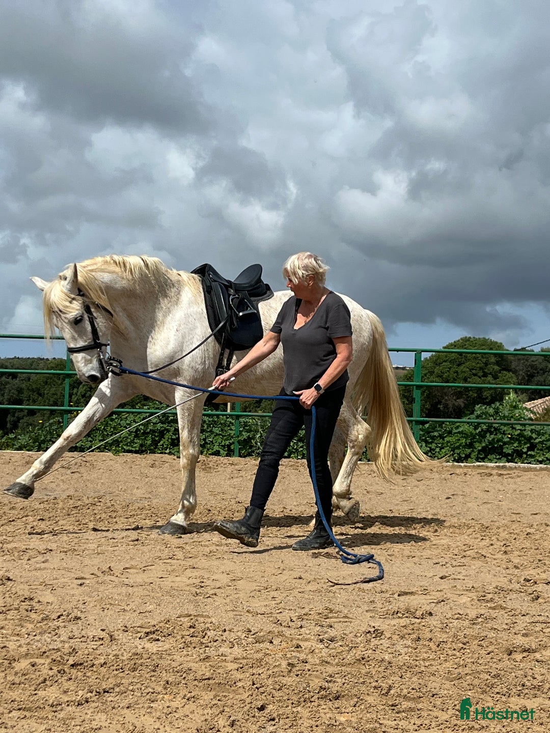 Galleribild {{count}}