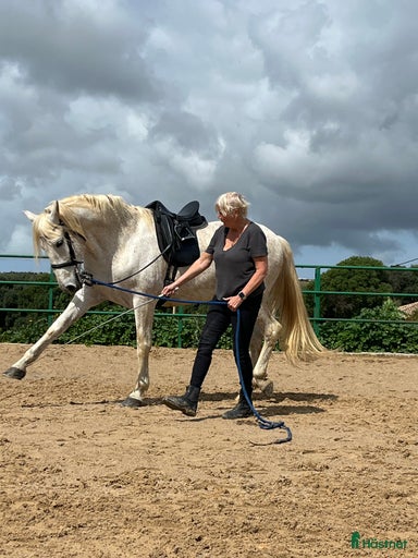 Galleribild {{count}}