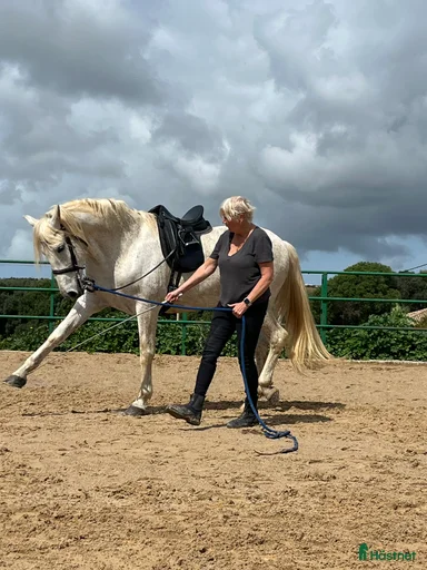 Galleribild {{count}}