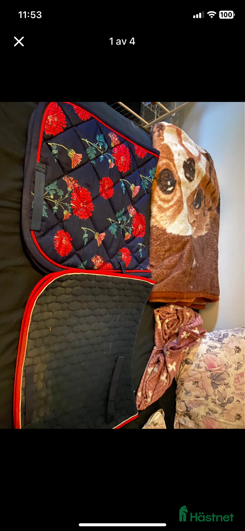 Schabrak & Vojlockar hästutrustning Schabrak - Annons 3