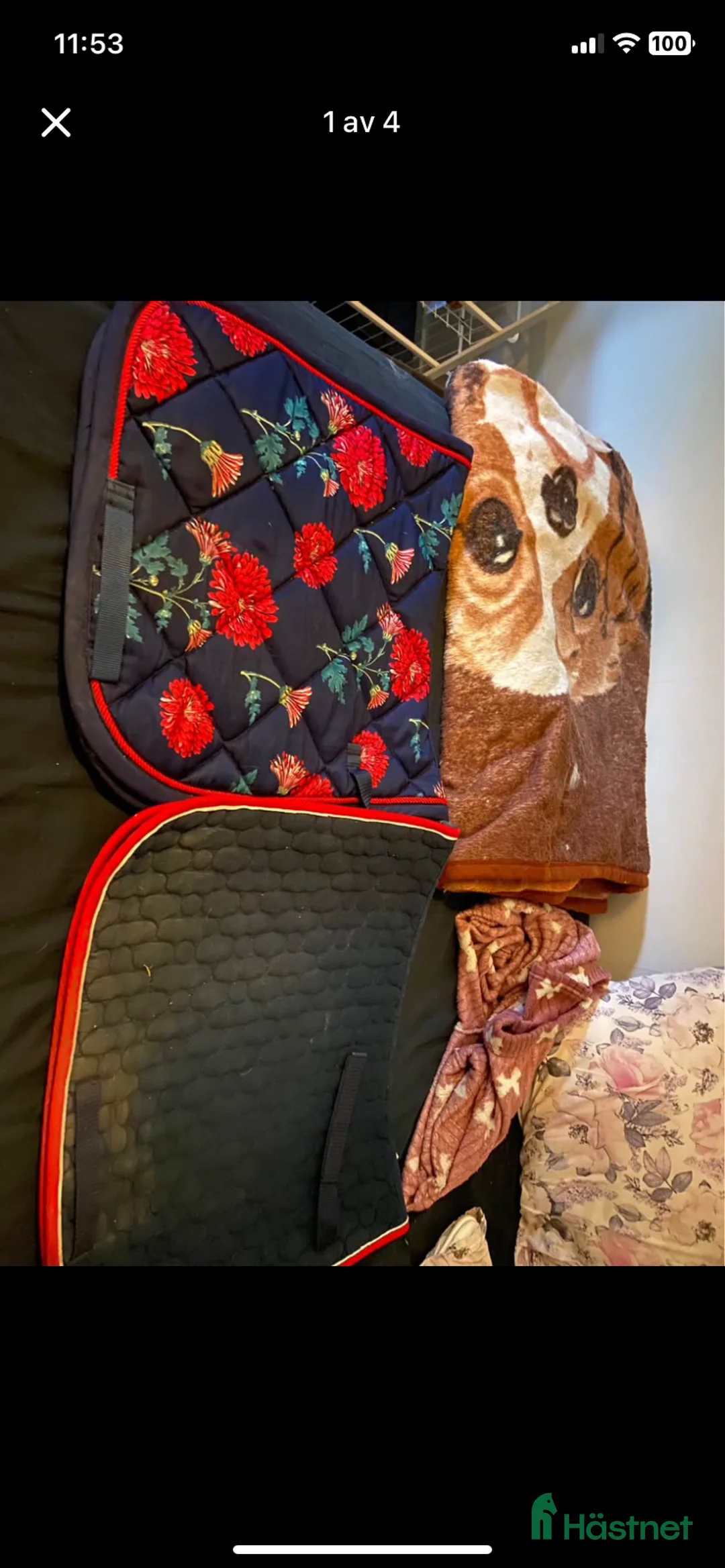 Schabrak & Vojlockar hästutrustning till salu: Schabrak i Eskilstuna - Annons 1