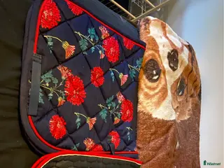 Schabrak & Vojlockar hästutrustning Schabrak - Annons 1