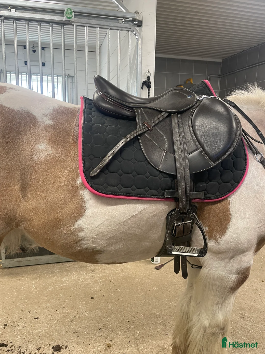 Sadlar hästutrustning till salu: ikonic sadel i Haparanda - Annons 2