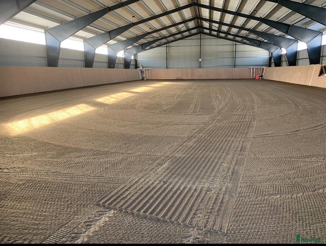  stallplats finnes: Stallplats i Köping - Annons 3