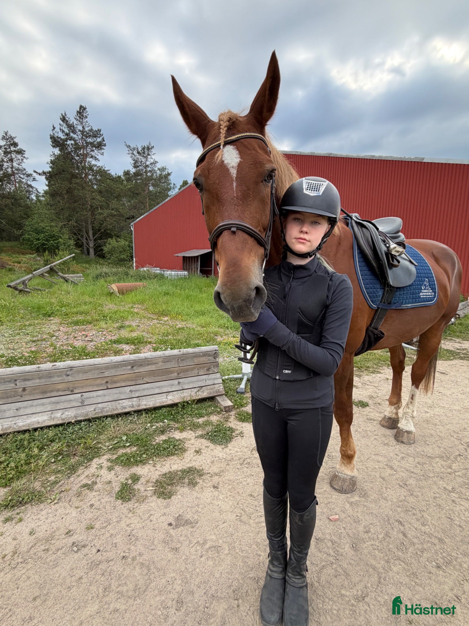  medryttarhäst sökes: Medryttarhäst Sökes 🐎💖 - Annons 1