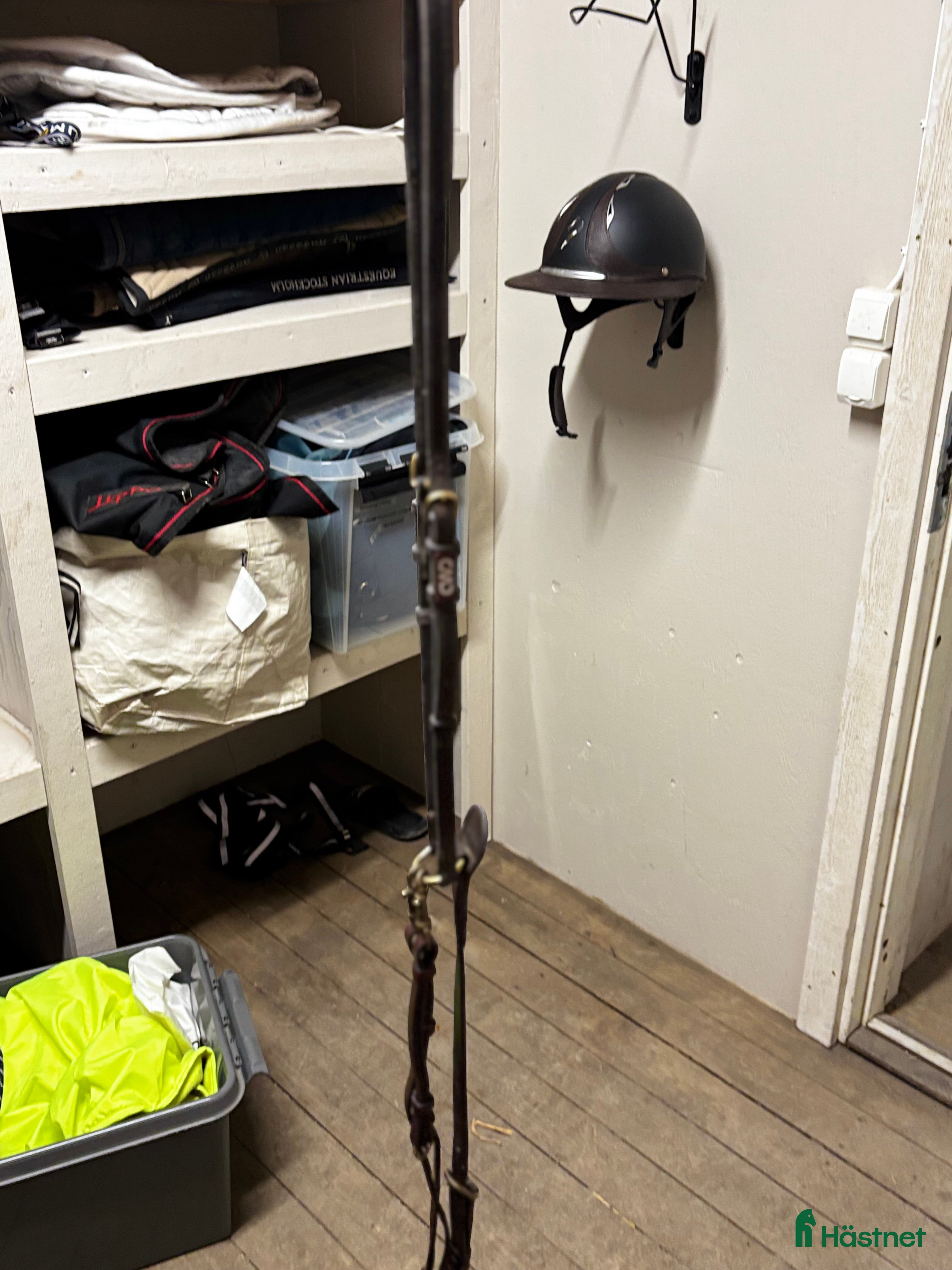 Träns hästutrustning till salu: cwd martingal - Annons 11