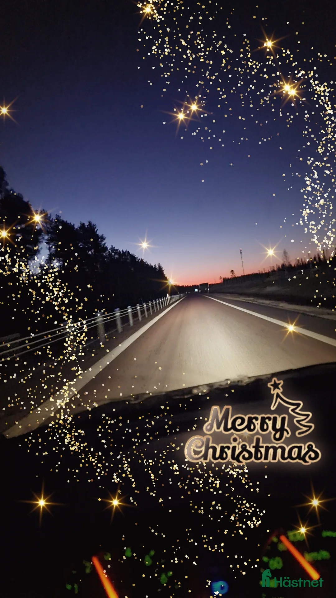 Allround hästar till salu: Äldre sto . - Annons 6