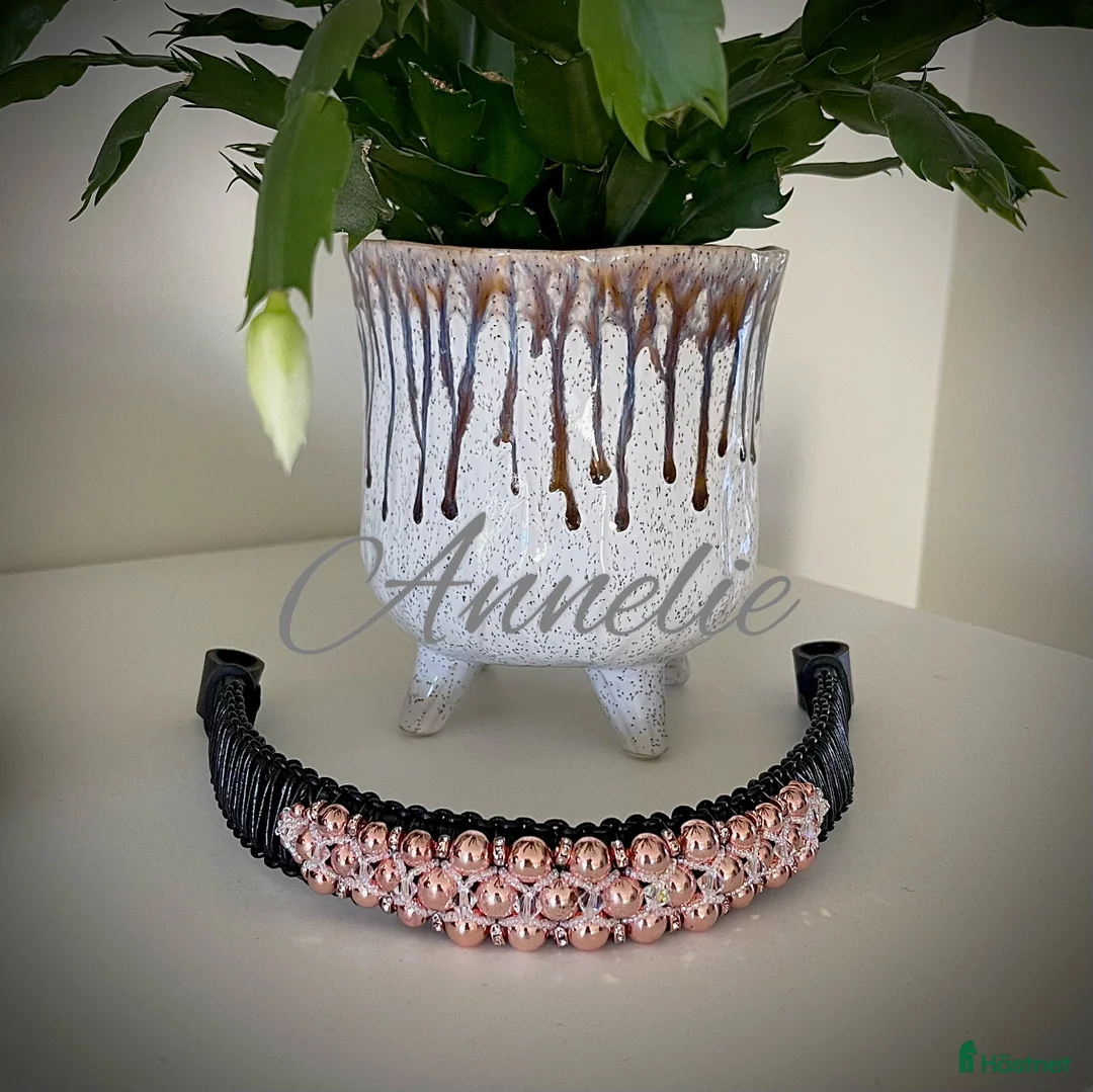 Träns hästutrustning till salu: Unikt handgjort pannband - Annons 1