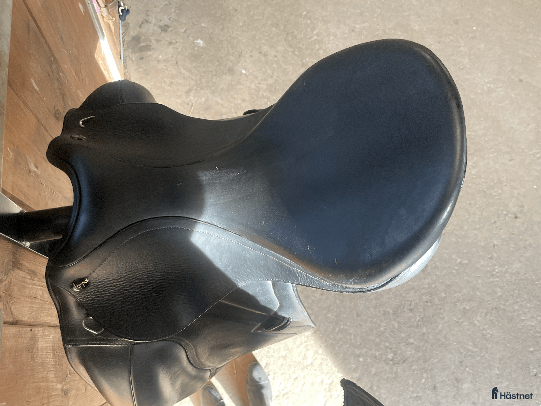 Sadlar hästutrustning till salu: Väl omhändertagen dressyrsadel i Lund - Annons 3