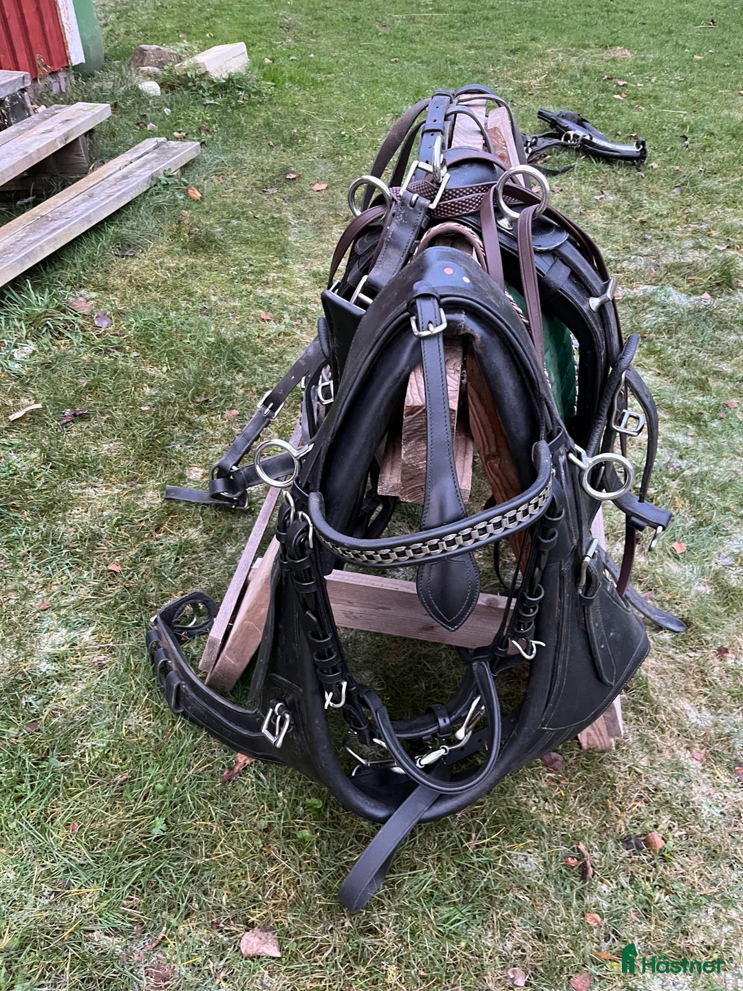 Körselar körning till salu: Maratonsele med fransk brösta storlek Shire i Västra Ämtervik - Annons 7