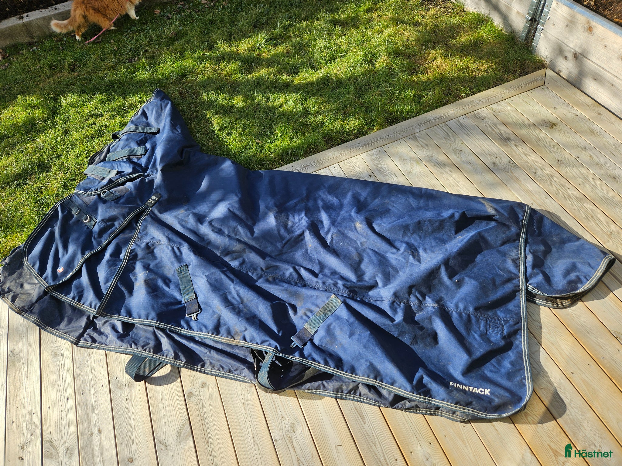 Täcken hästutrustning Finntack utetäcke - Annons 3