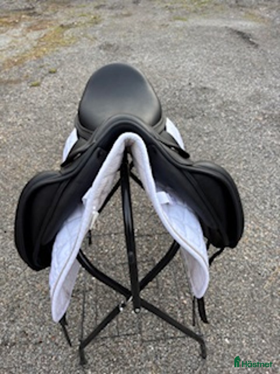 Sadlar hästutrustning till salu:  Amerigo / Pasubio Pinerolo  i Märsta - Annons 3