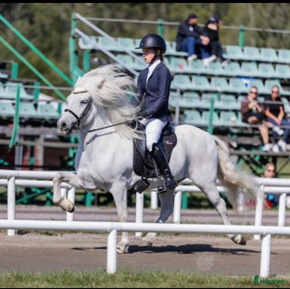  hästar Hrimbakur i två led sto fyra år och grundriden  - Annons 4