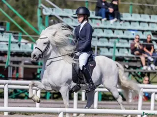 hästar Hrimbakur i två led sto fyra år och grundriden - Annons 3