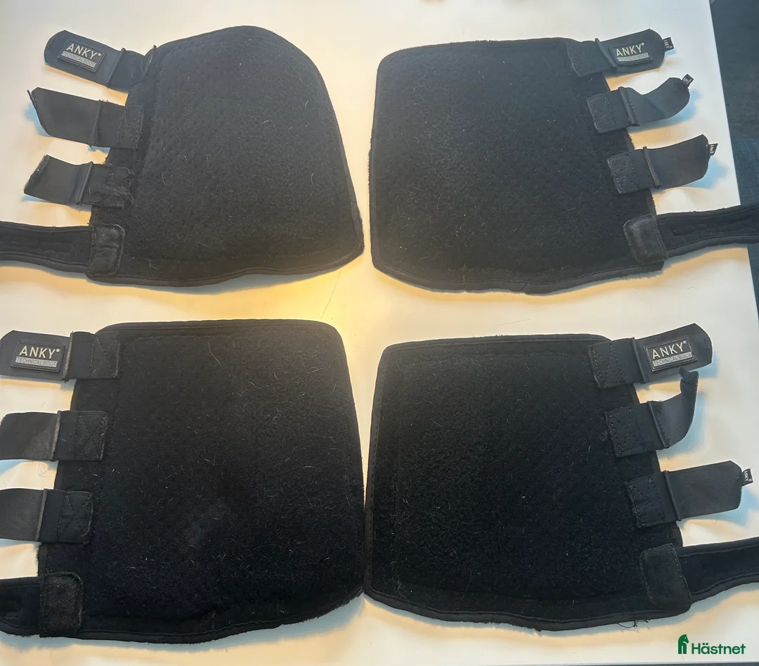 Benskydd hästutrustning till salu: Dressyrbenskydd Anki Svart neopren Fram & bak  i Växjö - Annons 5