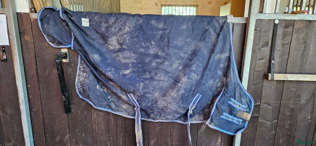 Övrig Hästutrustning hästutrustning till salu: Massa ponny saker i Vingåker - Annons 7