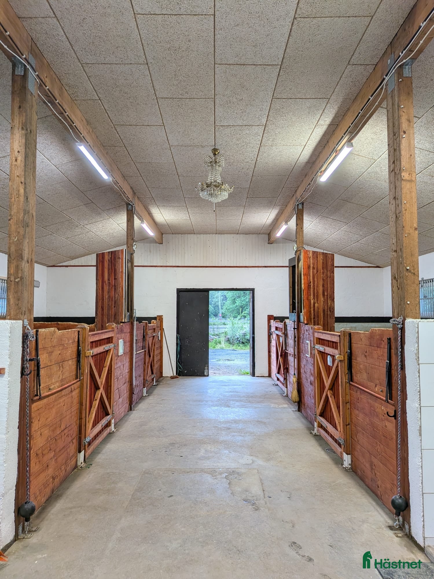  stallplats 1 ledig boxplats i lugnt stall - Annons 7