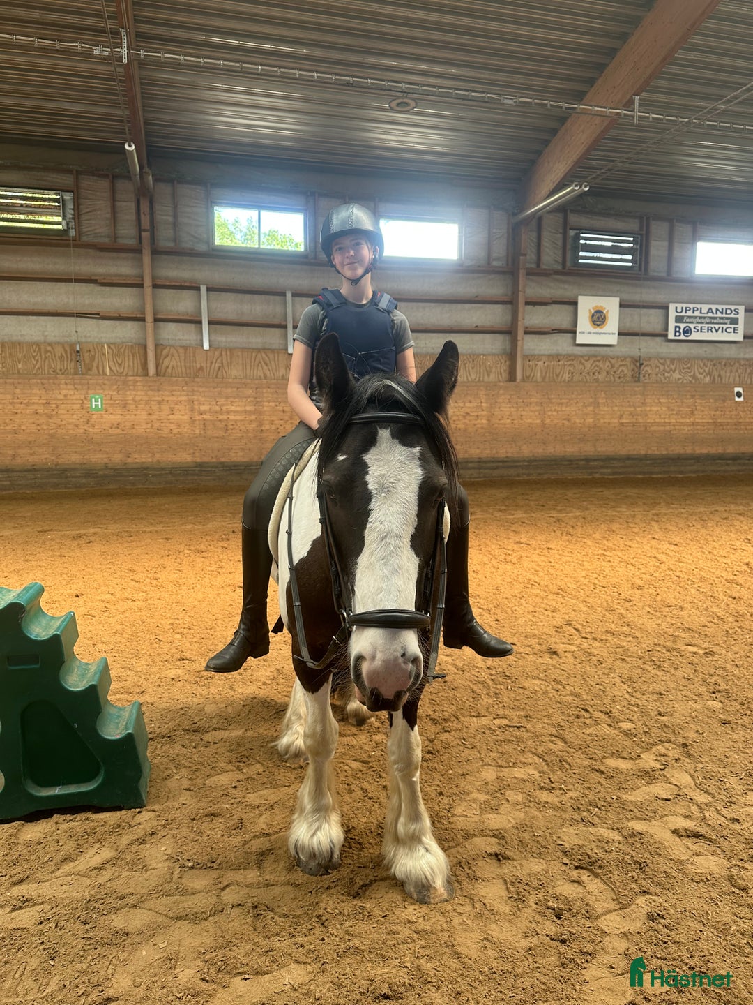  medryttarhäst sökes: SÖKER MEDRYTTARHÄST  i Uppsala - Annons 2