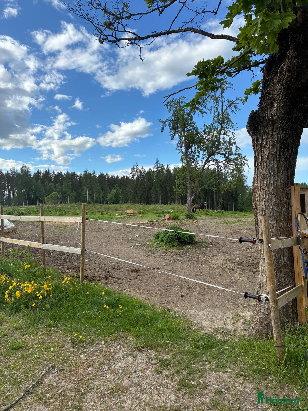  stallplats finnes: Älvbacka gården  i Hedemora - Annons 2