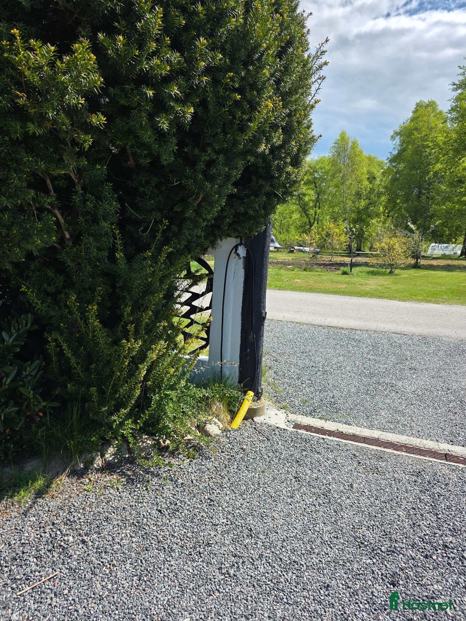  stallplats finnes: Sommarbete - Annons 2