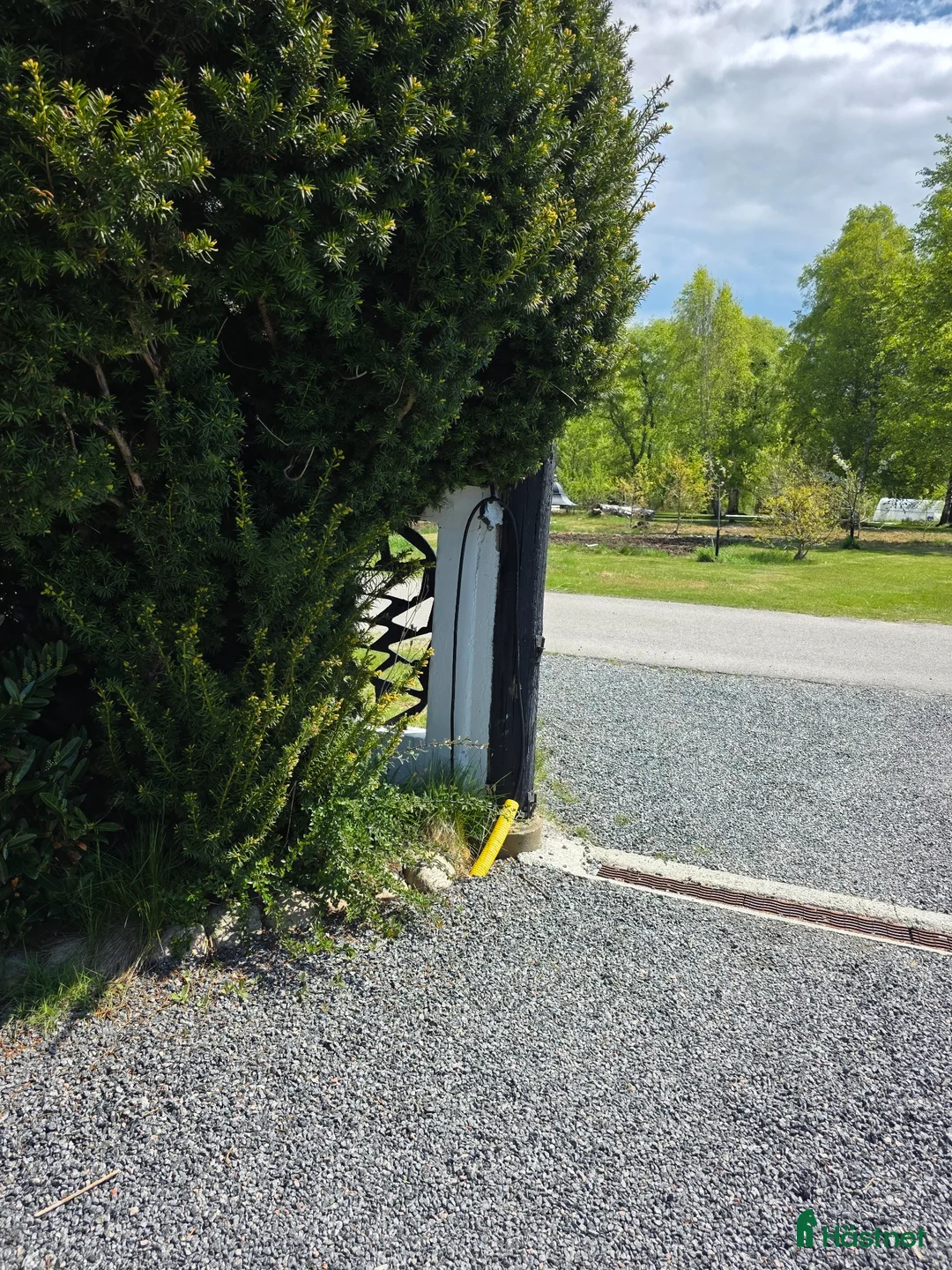  stallplats finnes: Sommarbete - Annons 1