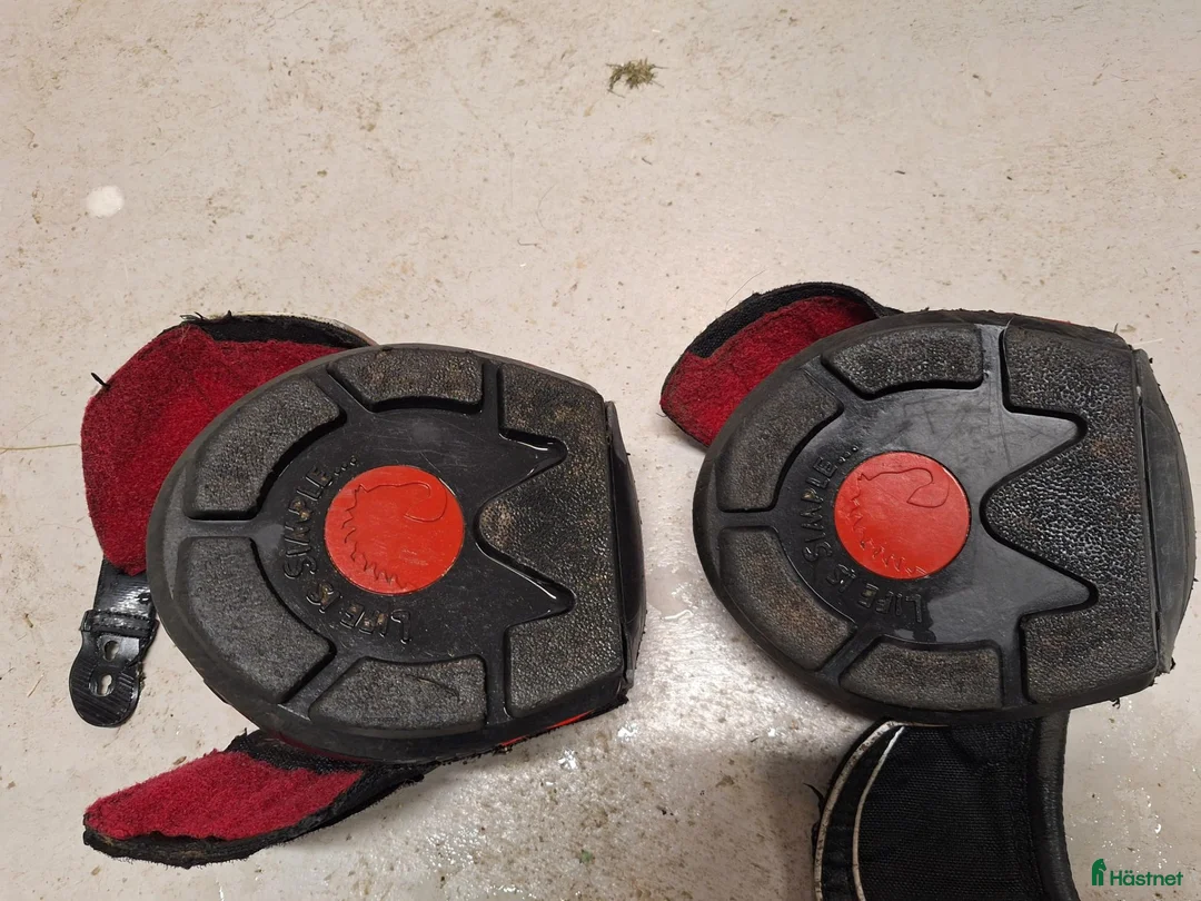 Övrig Hästutrustning hästutrustning till salu: Sport Boots Slim i Vänersborg - Annons 2