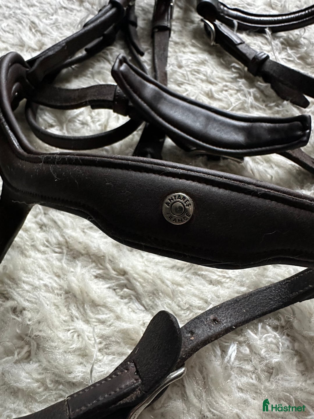 Träns hästutrustning till salu: Antares - precision Y-nosgrimma i Stockholm - Annons 2