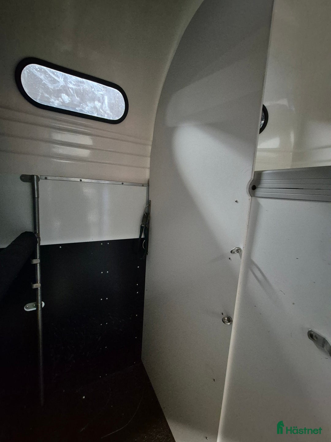 Hästtransporter  fordon & transport till salu: Forzab Futuro SEH 26 säljes - Annons 9