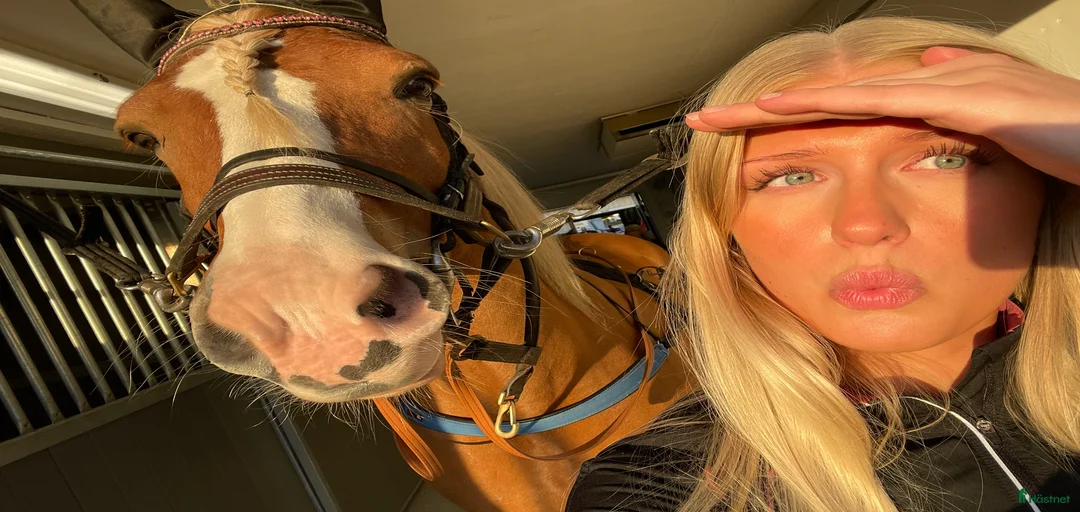 Galleribild {{count}}