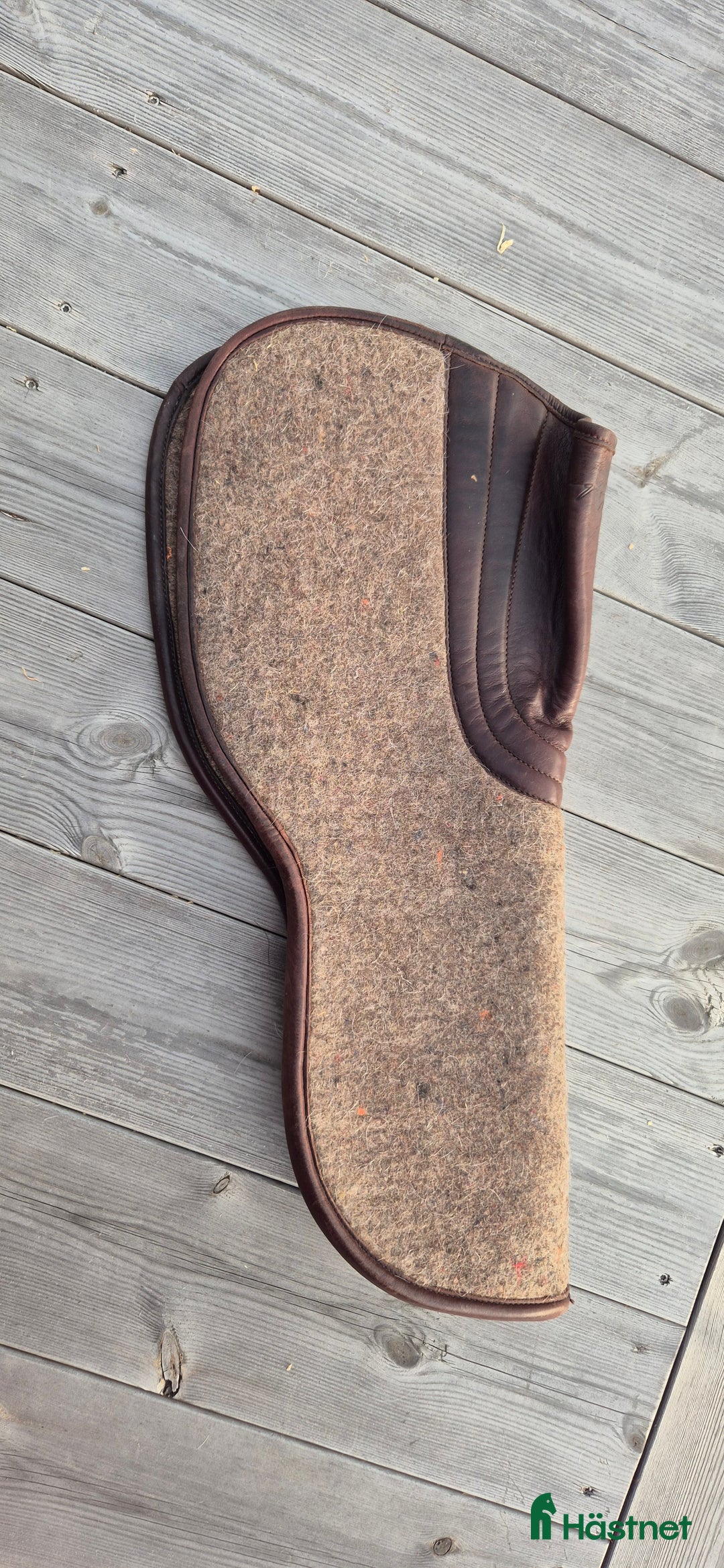 Sadeltillbehör hästutrustning till salu: Equipe filtpad uppbyggd bak i Frösön - Annons 1