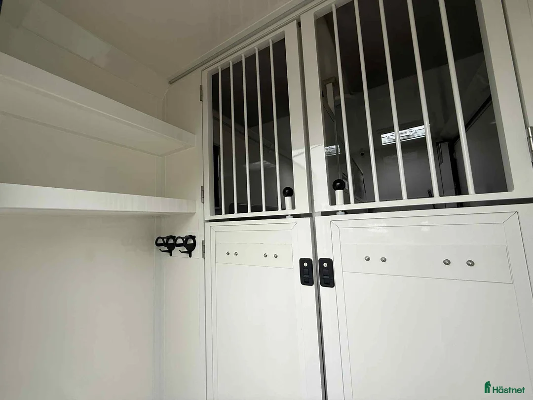 Hästlastbilar  fordon & transport till salu: NORDIC HORSE 5 STUTERI *HÖG LASTVIKT* i Köping - Annons 11