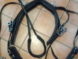 Travselar trav till salu: Whalsh sele i Boden - Annons 1