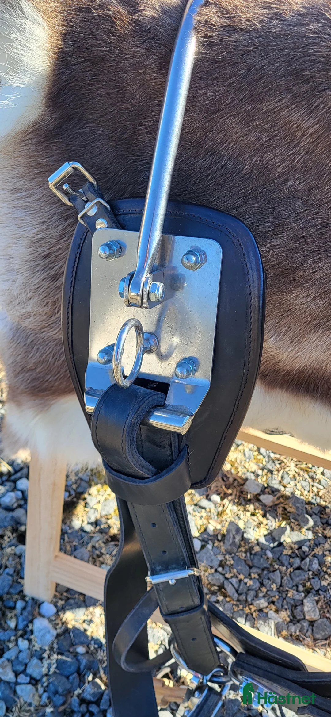 Körselar körning till salu: Ny sele. - Annons 10