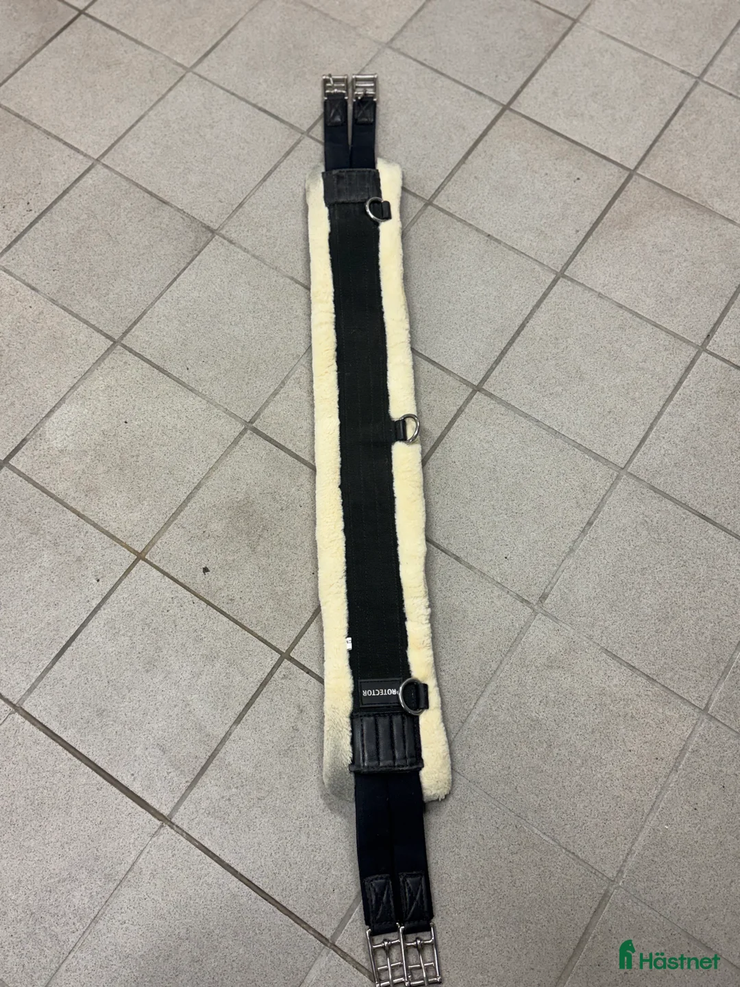 Sadeltillbehör hästutrustning till salu: Sadelgjord  i Vänersborg - Annons 1