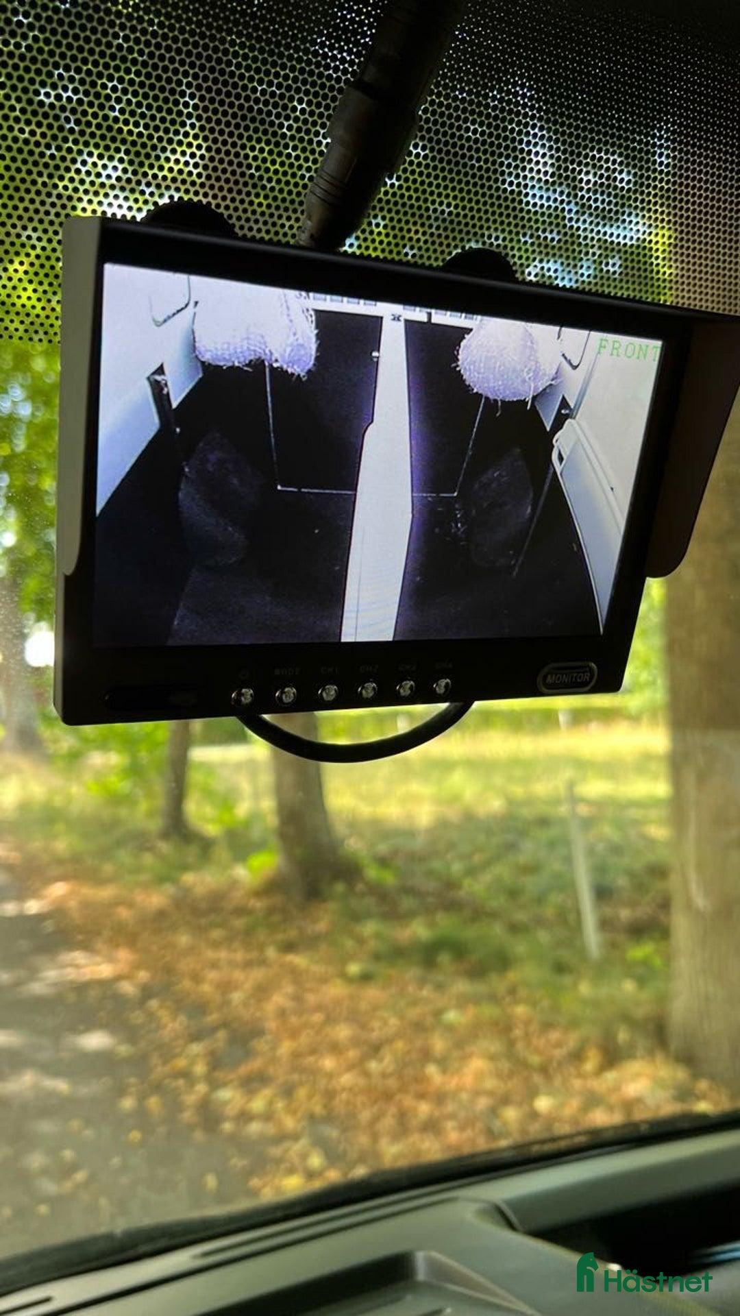  hästservice finnes: Transportering av häst i Västervik - Annons 1