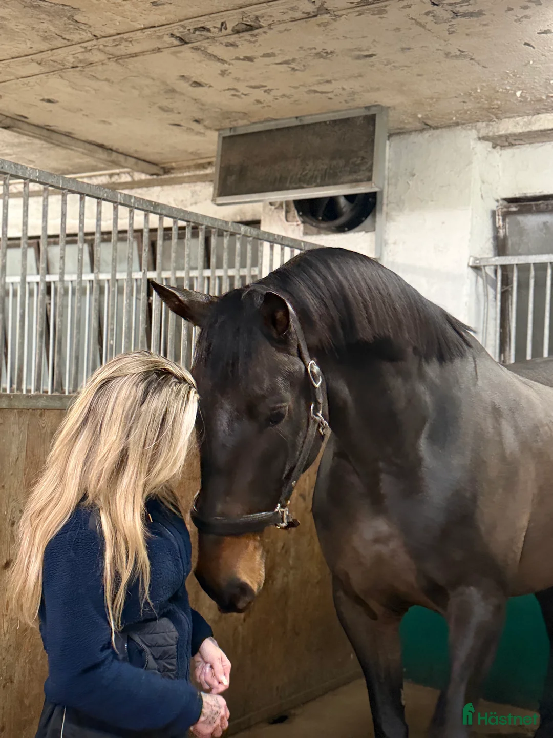 Galleribild {{count}}