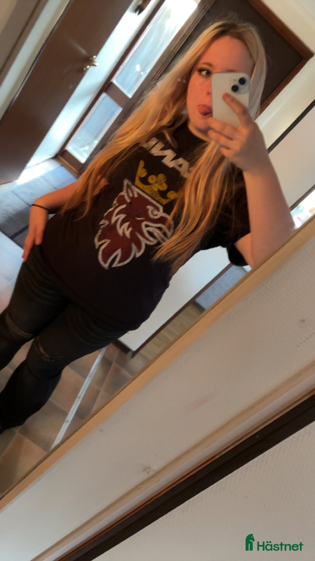 Allround hästar sökes: Erfaren ryttare söker medryttarhäst! i Mora - Annons 2